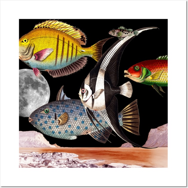 Fish World Collage Wall Art by snexus